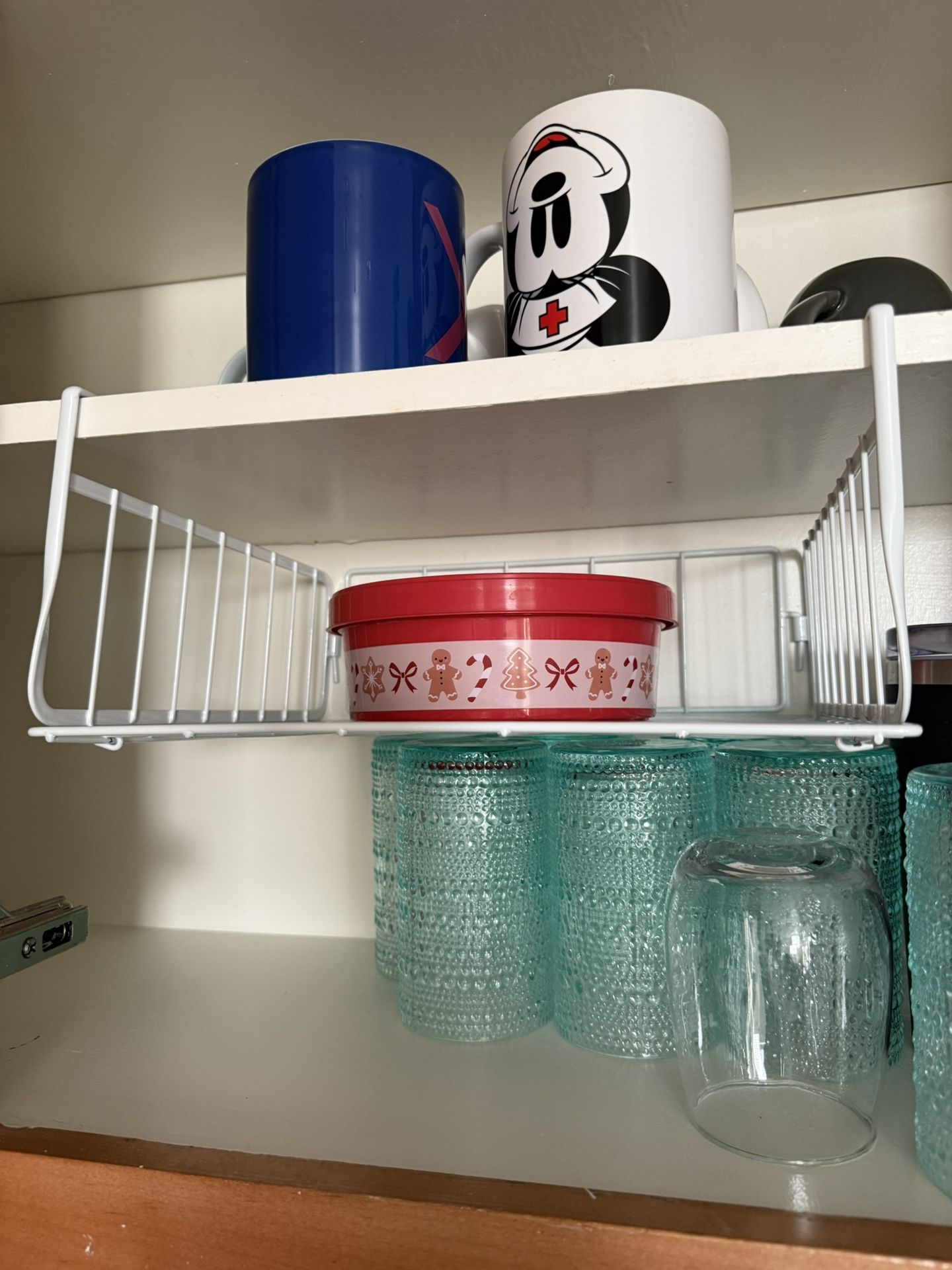 Under Shelf Storage 