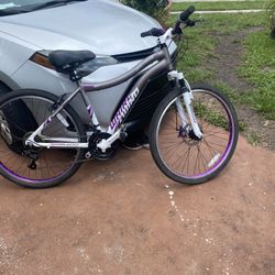 26’ Bicycle 