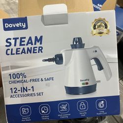 Pressurized Handheld Steam Cleaner