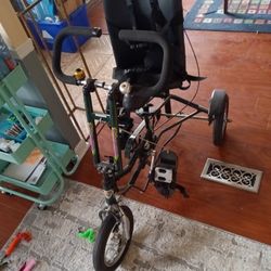 Adaptive Bike For Children 