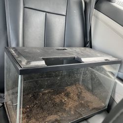 10 Gallon Tank