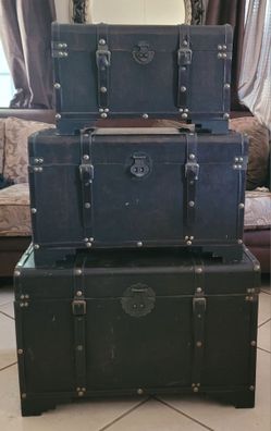 Decorative Storage Trunks/Chests