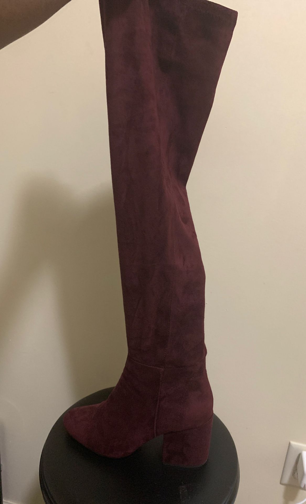 Aldo Suede Knee High Boots