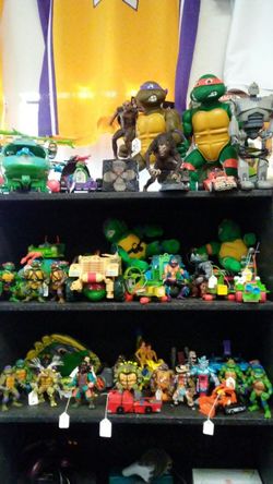 Classic turtles prices vary stop by