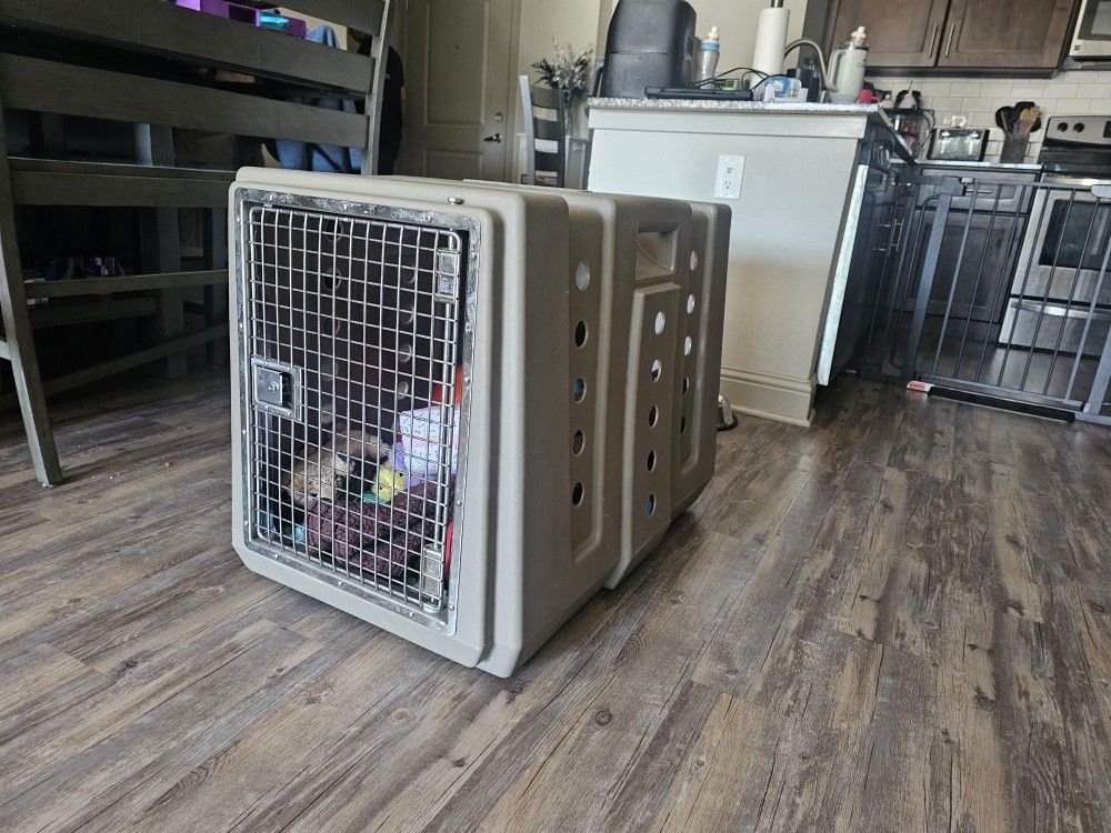 Cabelas Intermediate Dog Kennel
