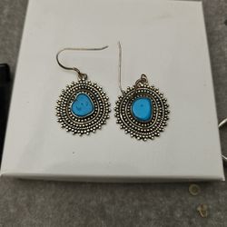 Arizona Sleeping Beauty Turquoise Earrings 