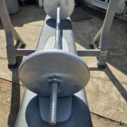 Chrome Standard 1 inch curl bar with spin lock collars and 2 X 25 lb plates.