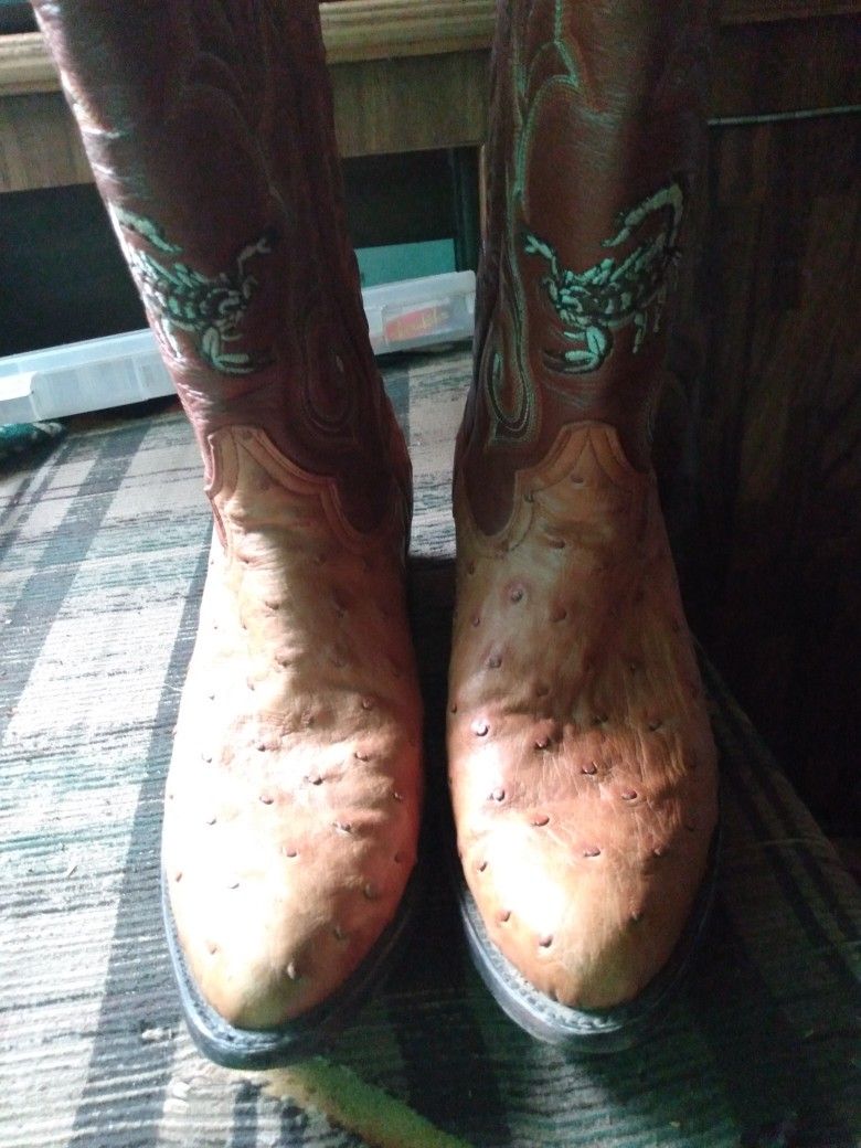 Authenic Scorpian Ostrich Skin Boots Brand New Made In Mexico Top Of The Line To Boots.