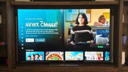 75 in Sony TV