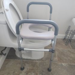 Raised Toilet Seat 