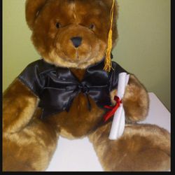 New Graduation Teddy Bears And Party Favors 