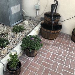 Decoración Plantas 🌱🪴🌳jardín 