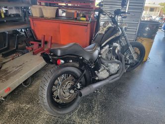 Harley davidson softail
