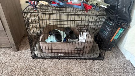 Dog Cage