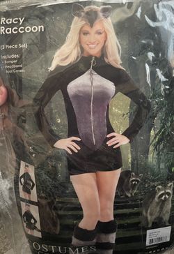 Raccoon Womens Costume