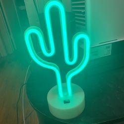 LED cactus night light