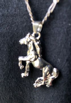 Ferrari Pendant with stainless steel chain