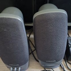 Powered Computer Speakers