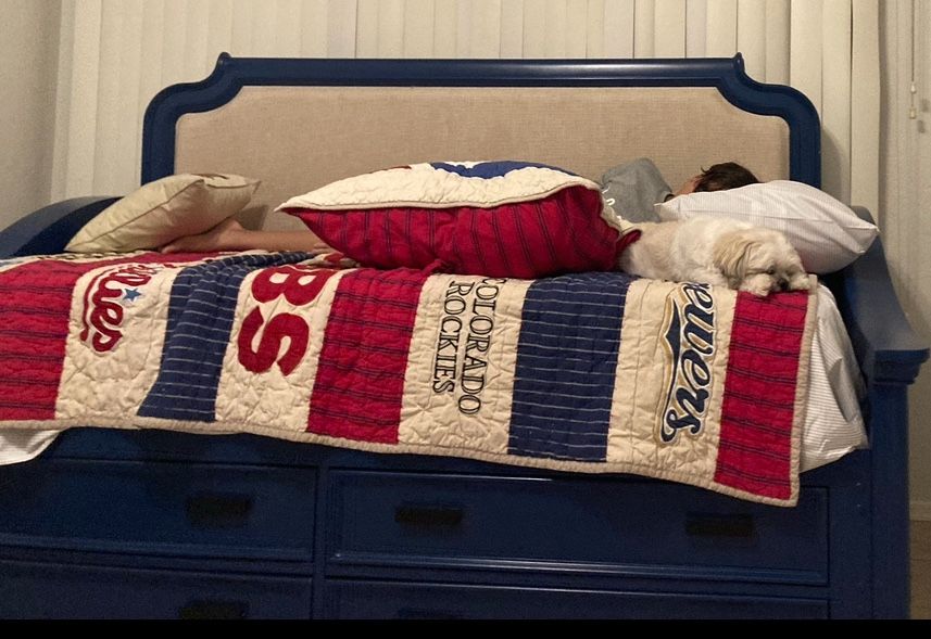 Beautiful Day Bed With 4 Drawers & A Fairly New Therapeutic Mattress