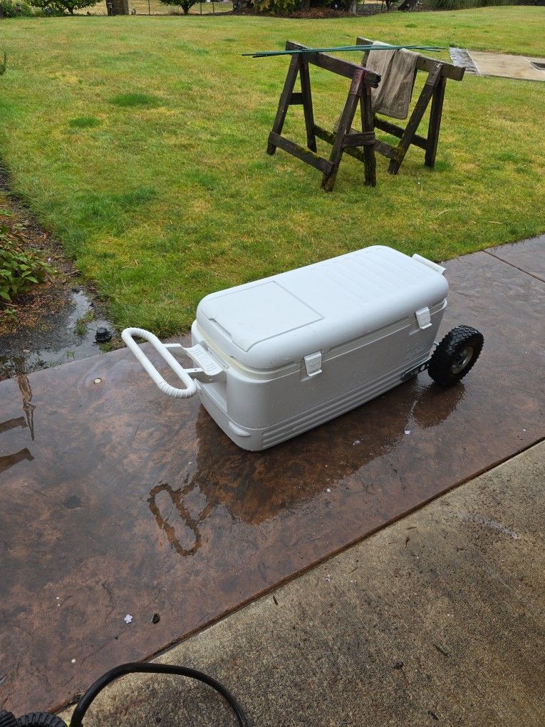 Cooler