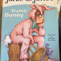  Junie b Jones Books 13 Books Total