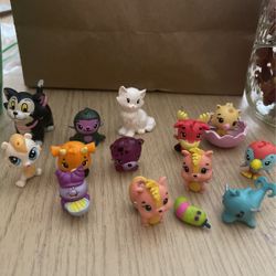 My Favorite Mini Pet
