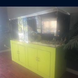 Best FISHHERE. AQUARIUM complete Set Up ALL Here.