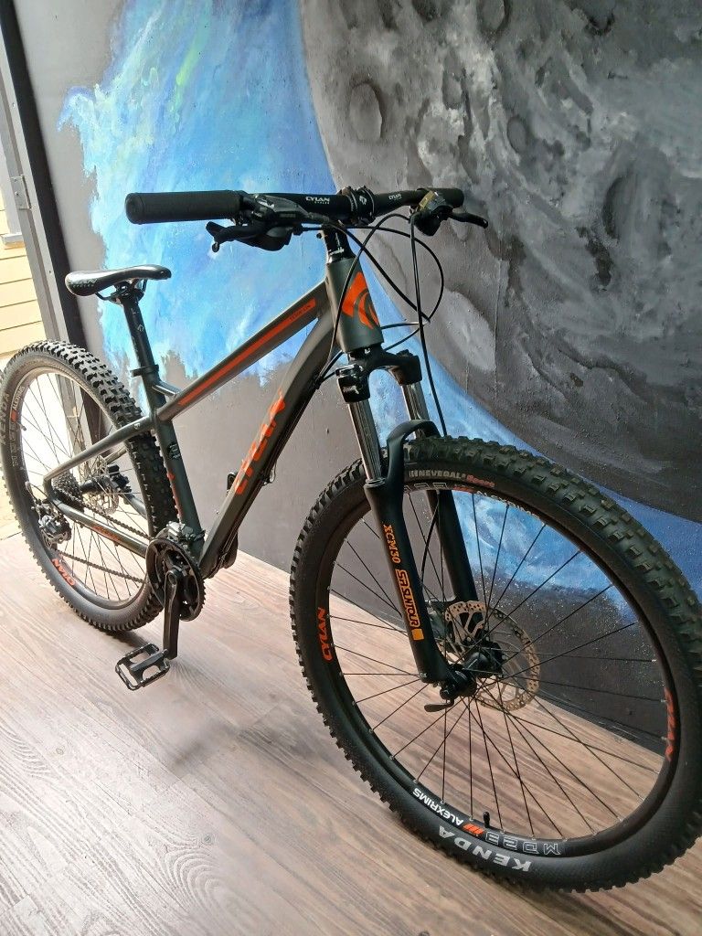 Mountain Bike