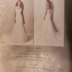 Wedding Dress 