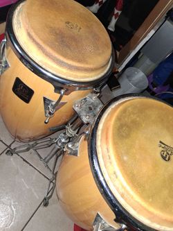 Congas for sale