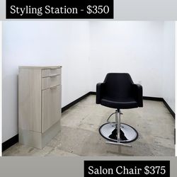 Salon styling chair and Styling station