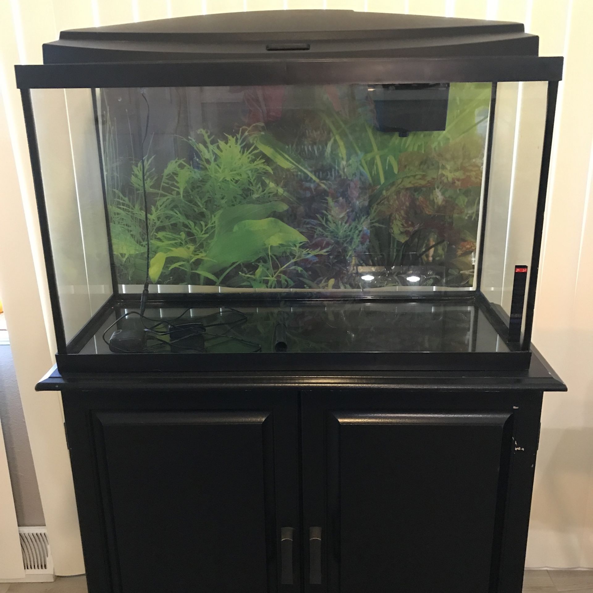 25 Gallon Aquarium