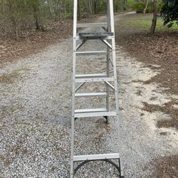 Six Ft Aluminum Gorilla Ladder 