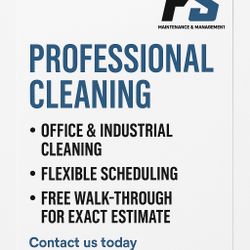 Professional Cleaning 