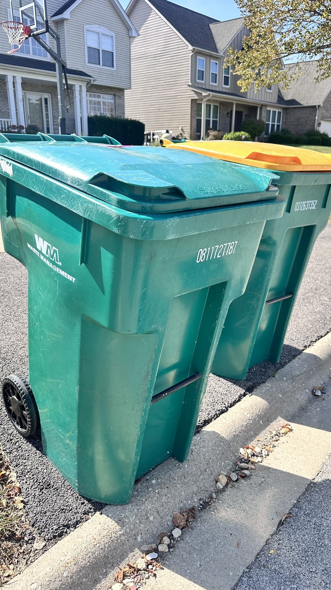Trash Can Cleaning