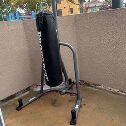 heavy punching bag with 16oz gloves included