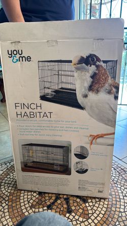 Bird cage