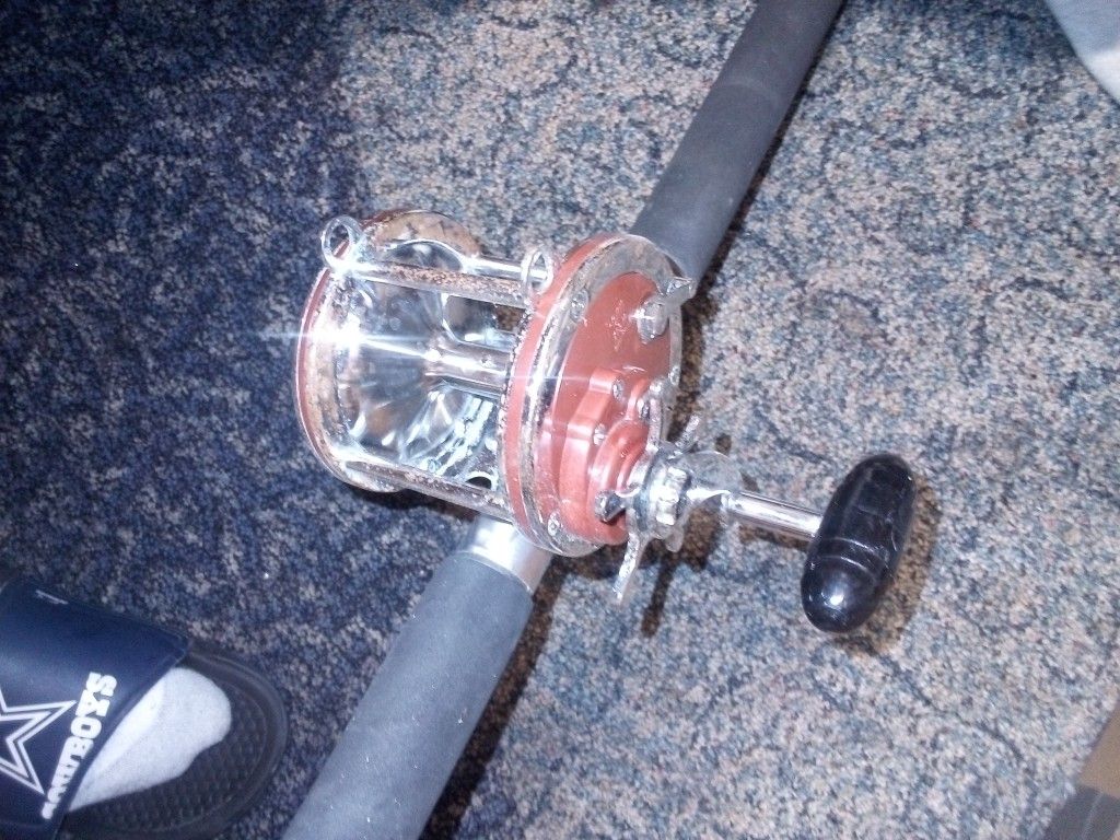 Penn113h Special 4/0 Senator