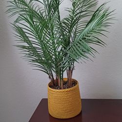 Artificial Plant In Beautiful Pot. Natural Looking Plant