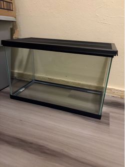 10 gallon tank with lid