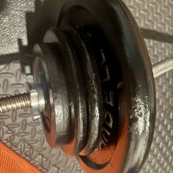 Standard Curl Bar with Weight Plates: 25s, 10s, 7.5s and 5 pounders. Brute Weigh: 109#