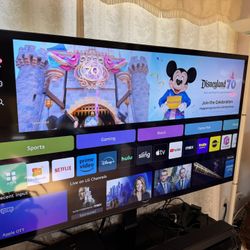 65 Inch LG TV