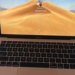 Rose Gold 2019 MAC book 