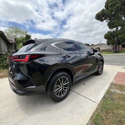 Window Film Automotive Tint