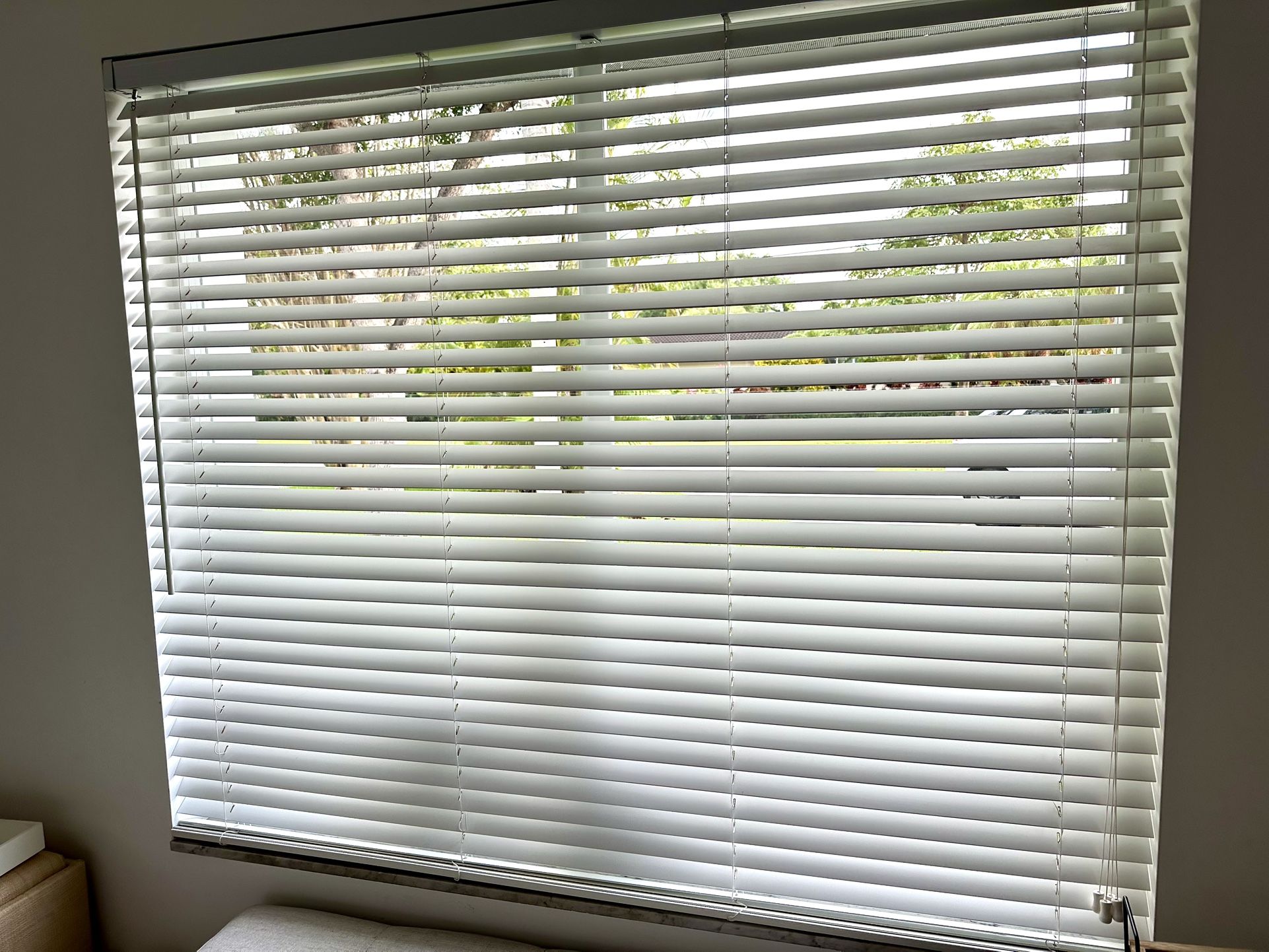 FREE BLINDS - Venerian style 2” 