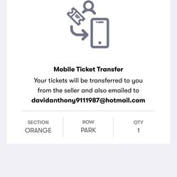 Arizona Cardinals Orange Parking Pass 
