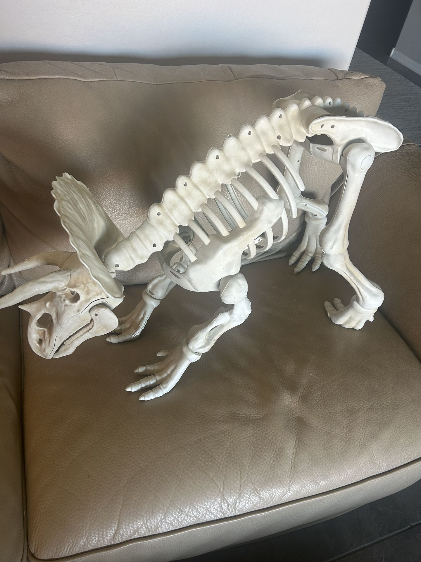 Halloween props