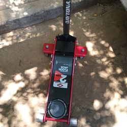 Gato De Patin 
