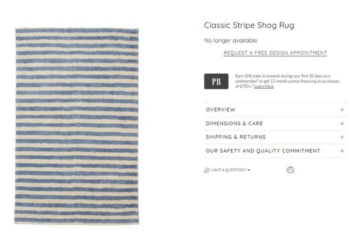 Lightly used Pottery Barn Shag Rug