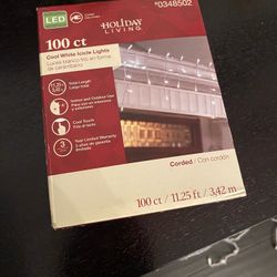 LED Icicle Lights
